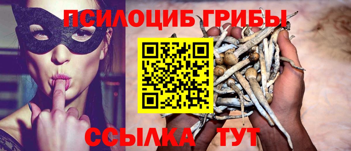 Галлюциногенные грибы Cubensis  Галлюциногенные грибы MAGIC MUSHROOMS  Вход с VPN  Усинск 